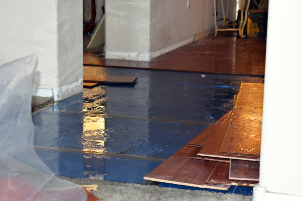 Professional Storm Water Damage Restoration technician working in Bordentown, NJ